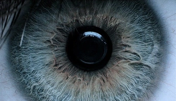 A cover of "𖦹" cluster. The owner is l4y06. The cluster consists of 8 elements.