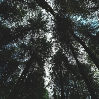 A cover of "📸" cluster. The owner is em.hewitson. The cluster description is "photos i have taken". The cluster consists of 96 elements.