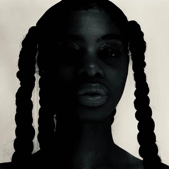 A cover of "photography" cluster. The owner is thelonelymuses. The cluster consists of 297 elements.