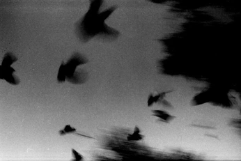 A cover of "gevoel" cluster. The owner is deetje. The cluster consists of 3 elements.