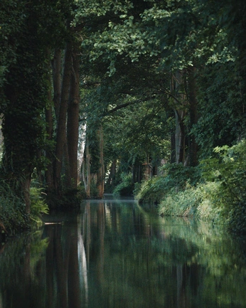 A cover of "$" cluster. The owner is jadette. The cluster consists of 4 elements.