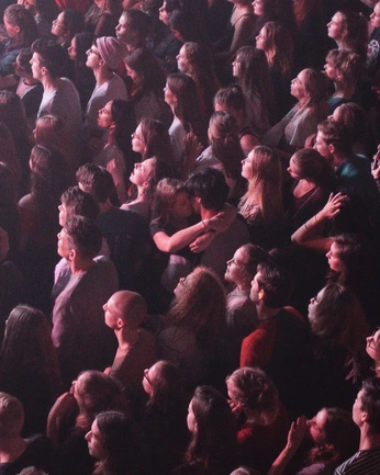 A cover of "shows" cluster. The owner is yummyguano. The cluster consists of 2 elements.