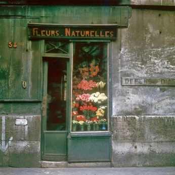 A cover of "Blu" cluster. The owner is arier. The cluster consists of 18 elements.