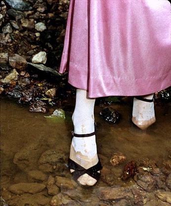 A cover of "wandering mind" cluster. The owner is vdinh. The cluster consists of 9 elements.