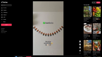 A cover of "Celebrartion" cluster. The owner is angelicaromanet. The cluster consists of 2 elements.