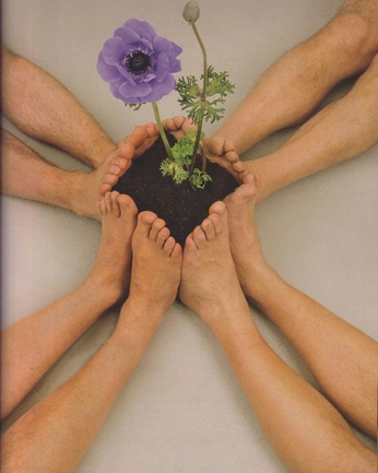 A cover of "Rmt" cluster. The owner is tannagibbons. The cluster consists of 2 elements.