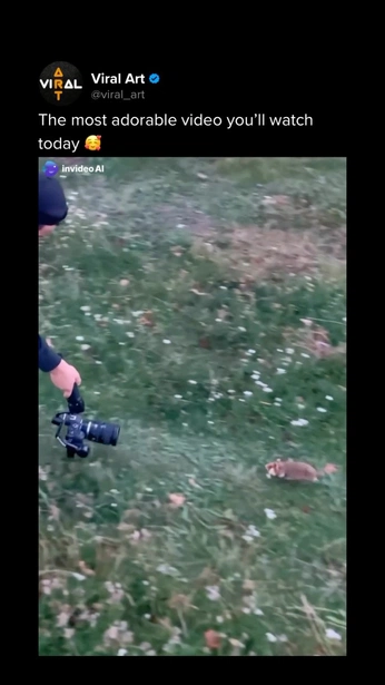 A cover of "art" cluster. The owner is slowdiver. The cluster consists of 3 elements.