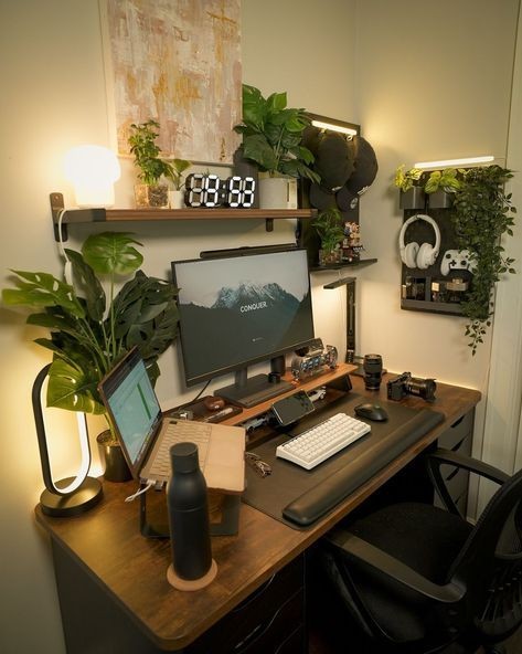 Desk Setup