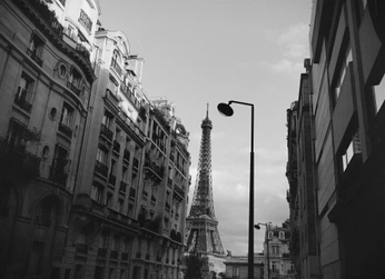 A cover of "black and white" cluster. The owner is mayisobscura. The cluster consists of 3 elements.