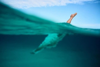 A cover of "Well Within Photo" cluster. The owner is leeward.studio. The cluster consists of 5 elements.