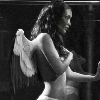 A cover of "Visions" cluster. The owner is regino. The cluster consists of 13 elements.