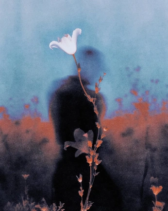 A cover of "Project 1" cluster. The owner is yettisparkle. The cluster consists of 28 elements.