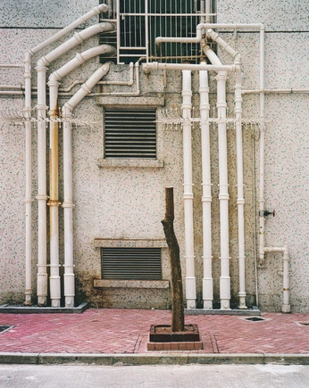 A cover of "pipes" cluster. The owner is ivyleague. The cluster consists of 14 elements.