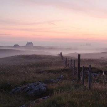 A cover of "fog" cluster. The owner is vanda. The cluster consists of 10 elements.