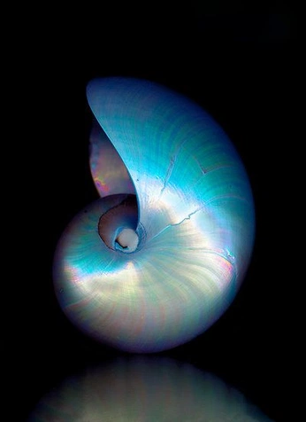 A cover of "earth" cluster. The owner is callmehflow. The cluster consists of 25 elements.