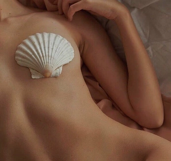 A cover of "Taste & Touch" cluster. The owner is co002as. The cluster consists of 87 elements.