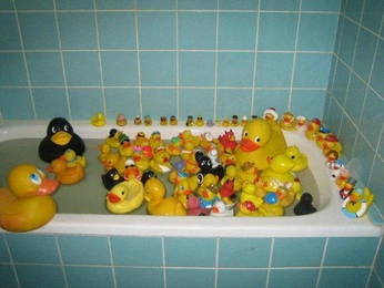 A cover of "lostandfoundmems" cluster. The owner is gingersilva. The cluster consists of 5 elements.