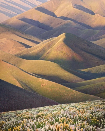 A cover of "Landscapes" cluster. The owner is artzomb. The cluster consists of 336 elements.