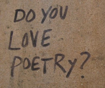 A cover of "aesthetic quotes" cluster. The owner is ai091509. The cluster consists of 7 elements.