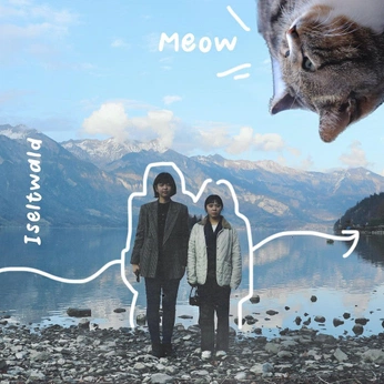 A cover of "social media" cluster. The owner is to0to0yu. The cluster consists of 1 element.