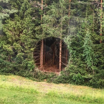 A cover of "thesis" cluster. The owner is louisbeton. The cluster consists of 116 elements.