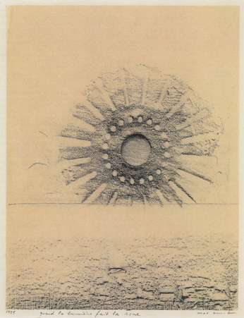 A cover of "2D" cluster. The owner is trailcam666. The cluster consists of 14 elements.