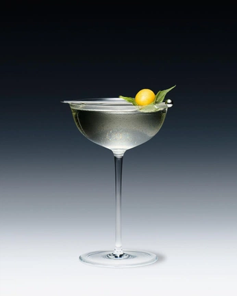 A cover of "KINTSUGI SAKE" cluster. The owner is vslview. The cluster consists of 41 elements.