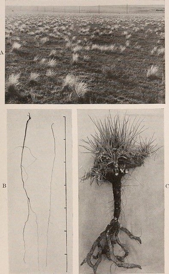 A cover of "Mondicult" cluster. The owner is arturcosta. The cluster consists of 27 elements.