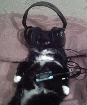 A cover of "megatron" cluster. The owner is junzai. The cluster consists of 36 elements.