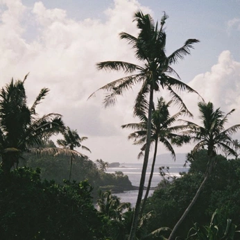 A cover of "nature :)" cluster. The owner is monkdream. The cluster consists of 97 elements.