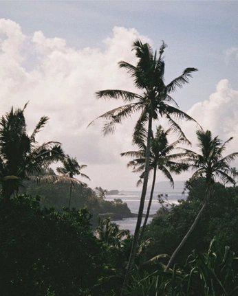 A cover of "nature" cluster. The owner is sampamovement. The cluster consists of 38 elements.