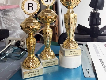 A cover of "Stanley Favorit" cluster. The owner is leighring. The cluster consists of 2 elements.