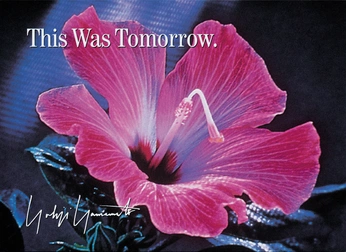 A cover of "Oddthordox" cluster. The owner is veelynx. The cluster consists of 1 element.