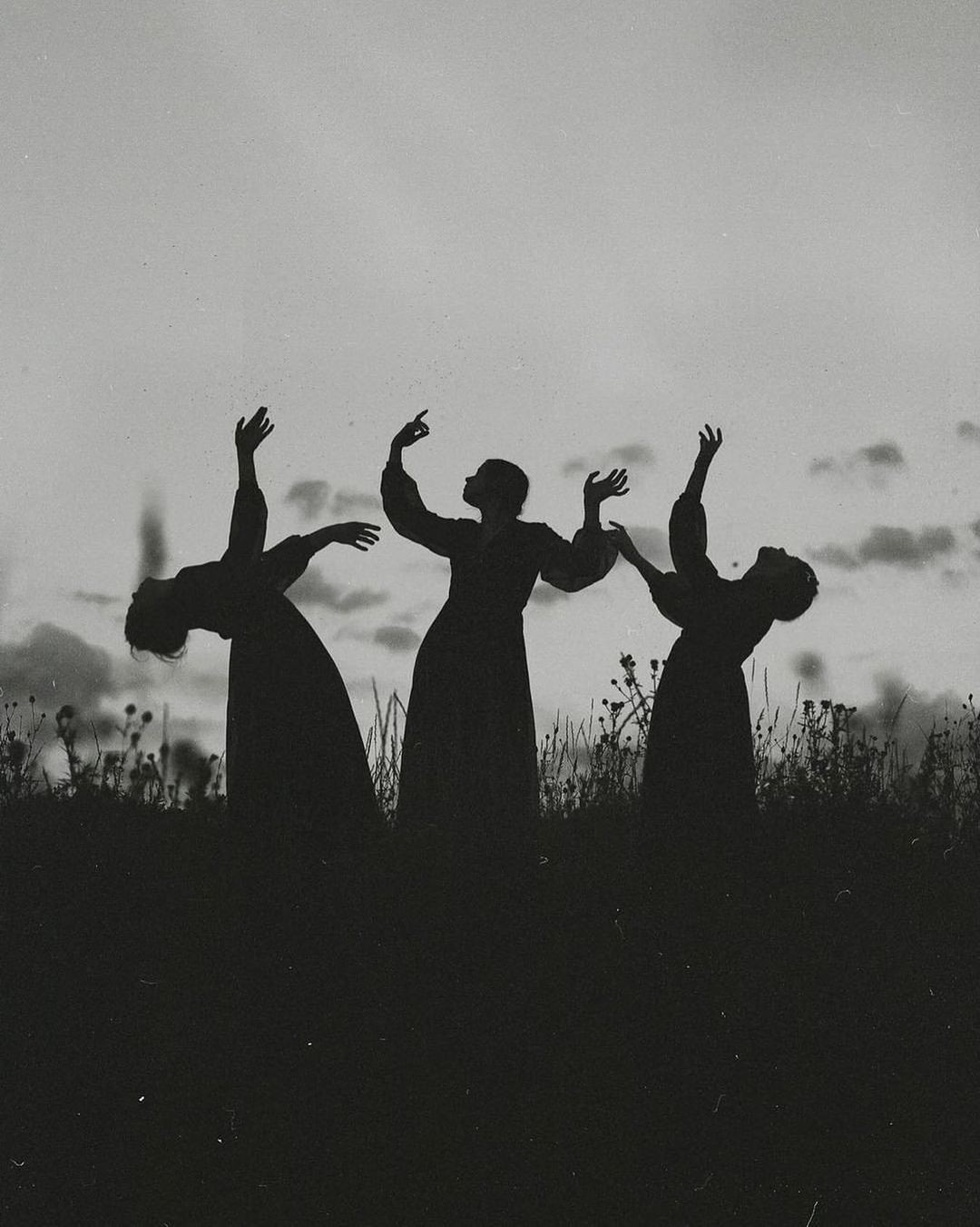 Crysdo品牌logo创意