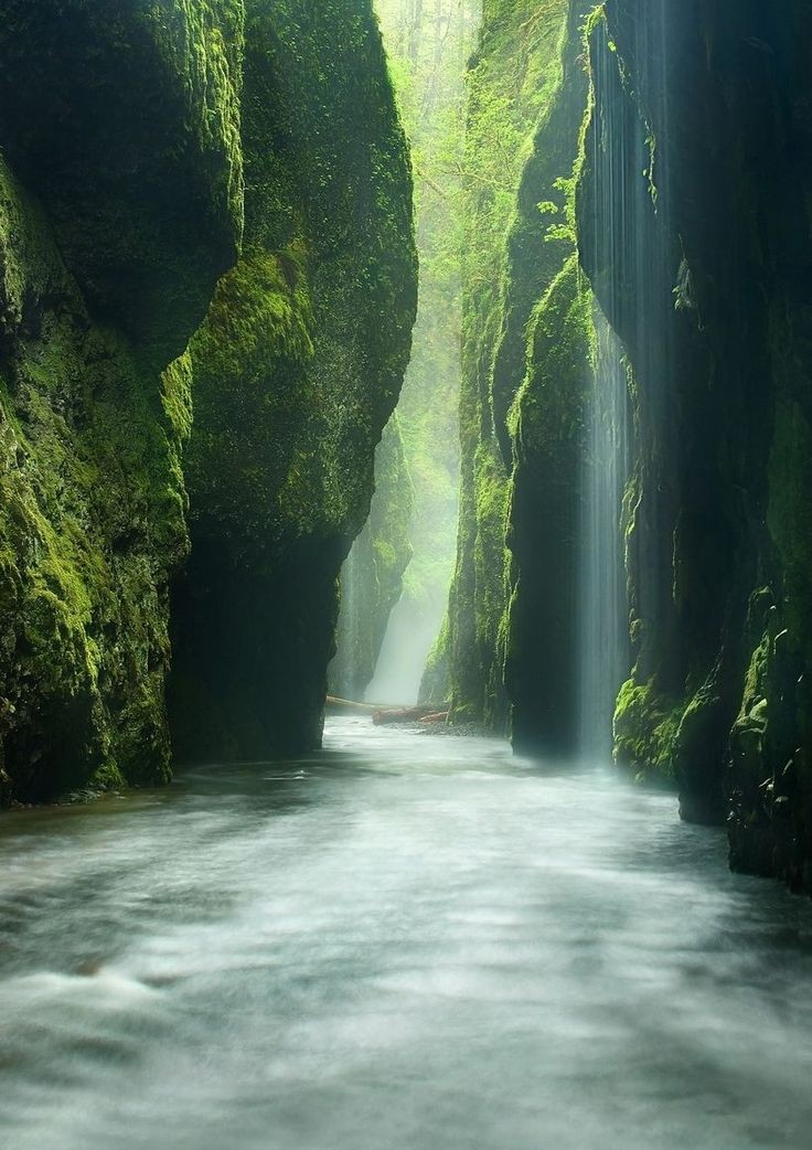 A view of Oneonta Gorge in Oregon. Photo by Marc Adamus.