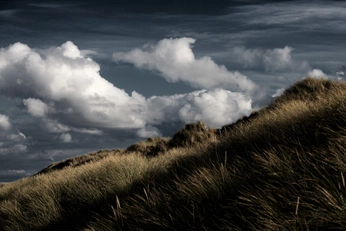 A cover of "Paysage" cluster. The owner is leilei. The cluster consists of 7 elements.