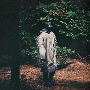 A cover of "DOCW" cluster. The owner is goofyluffy. The cluster consists of 80 elements.