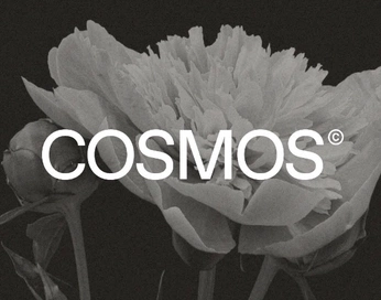 A cover of "Cosmos is not a trap" cluster. The owner is backpainbaby. The cluster consists of 22 elements.
