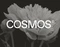 Cover of Cosmos is n... cluster