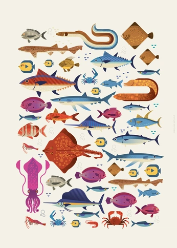 A cover of "插圖" cluster. The owner is arrowbird. The cluster consists of 5 elements.