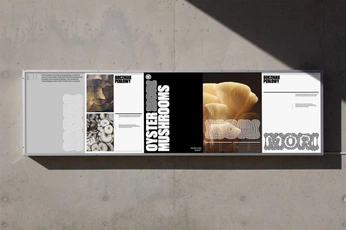 A cover of "DESIGN INSPO" cluster. The owner is gothbyeao. The cluster consists of 3 elements.