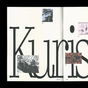 A cover of "Typography" cluster. The owner is pixelgal. The cluster consists of 1 element.