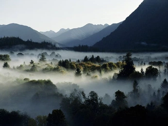 A cover of "Rhine shizzle" cluster. The owner is imjustbetter. The cluster consists of 9 elements.