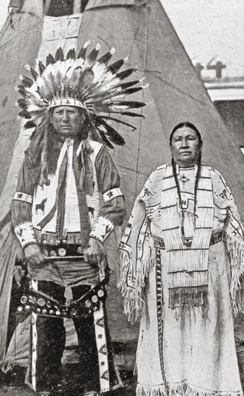 A cover of "Turtle Island" cluster. The owner is naza. The cluster consists of 4 elements.