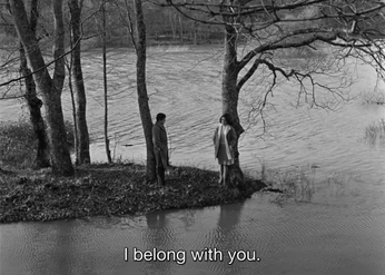 A cover of "composition" cluster. The owner is claragiglio. The cluster consists of 6 elements.