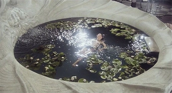 A cover of "glimmers" cluster. The owner is viccore. The cluster description is "things that make me feel". The cluster consists of 25 elements.