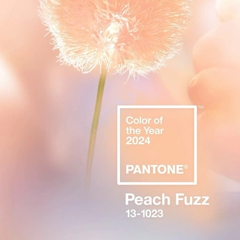 A cover of "Pantone 2024, Peach Fuzz" cluster. The owner is sarahlindsay. The cluster description is "PANTONE 13-1023 Peach Fuzz / #FFBE98 - References for Inspiration". The cluster consists of 126 elements.