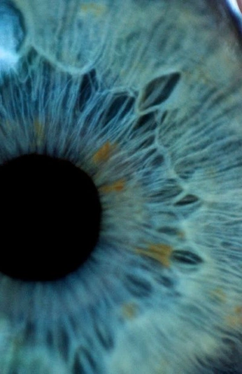 A cover of "Eyes" cluster. The owner is alfaplum. The cluster consists of 41 elements.