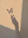 butterfly42's avatar