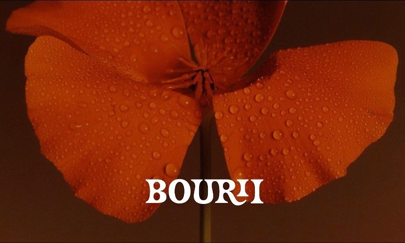 An Instagram  post added by garimakatiya on Sep 24, 2023. The author is @bouriiskin. May present: orange, flower, plant, petal, amber.